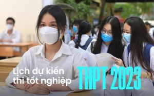Thi hành pháp luật và nền tảng pháp lý trong đời sống xã hội hiện đại