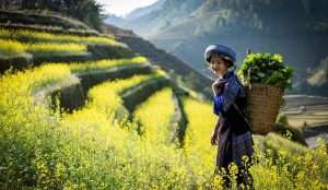 Khái Quát Toàn Diện Về Vùng Tây Bắc Việt Nam Hiện Nay