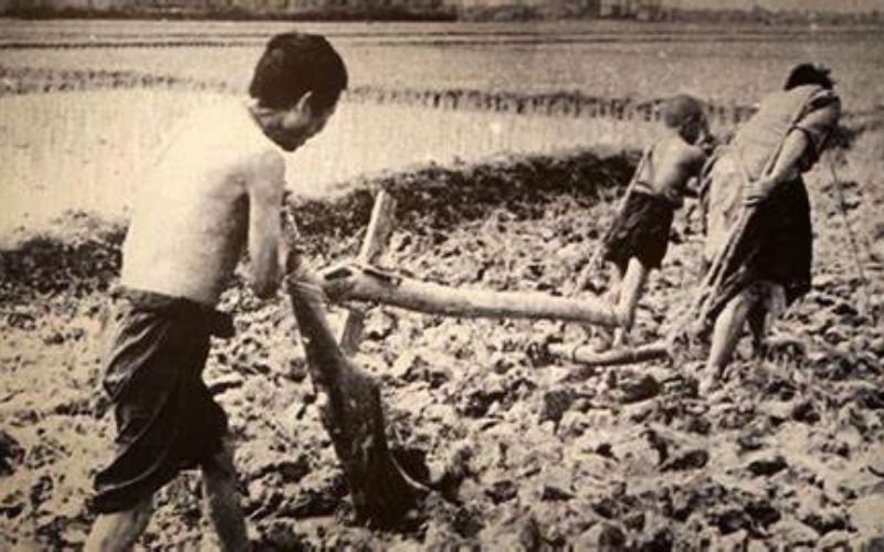 Diễn biến tâm lý và quá trình tha hóa của nhân vật Lộ